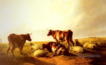  Animaux Tableaux - Bovins et moutons dans un paysage d’animaux de ferme bétail Thomas Sidney Cooper